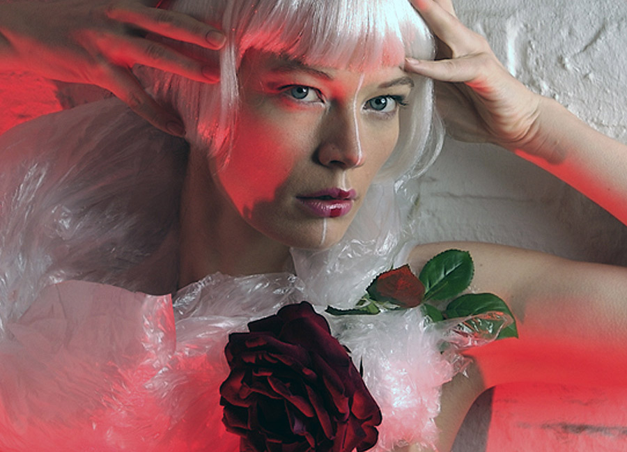 Blog post harlequin image