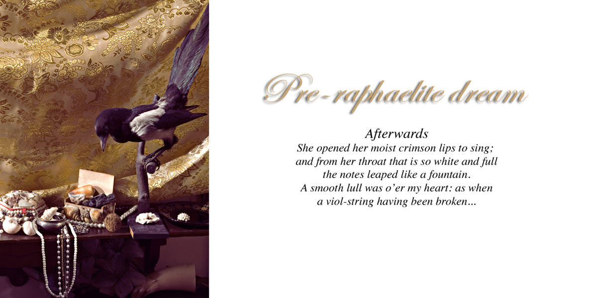 Large port raffa deck