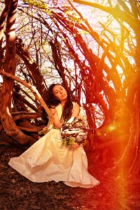 2b0ed501 dc8c 4e6f 8804 5d9023737acb